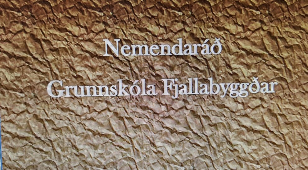 Nemendaráð