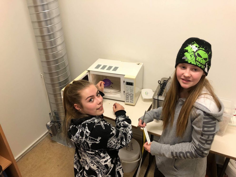 Tilraunir í 7. bekk