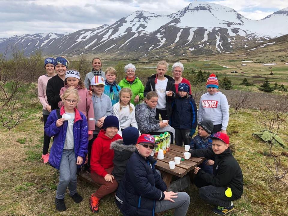 5. bekkur gróðursetur trjálöntur