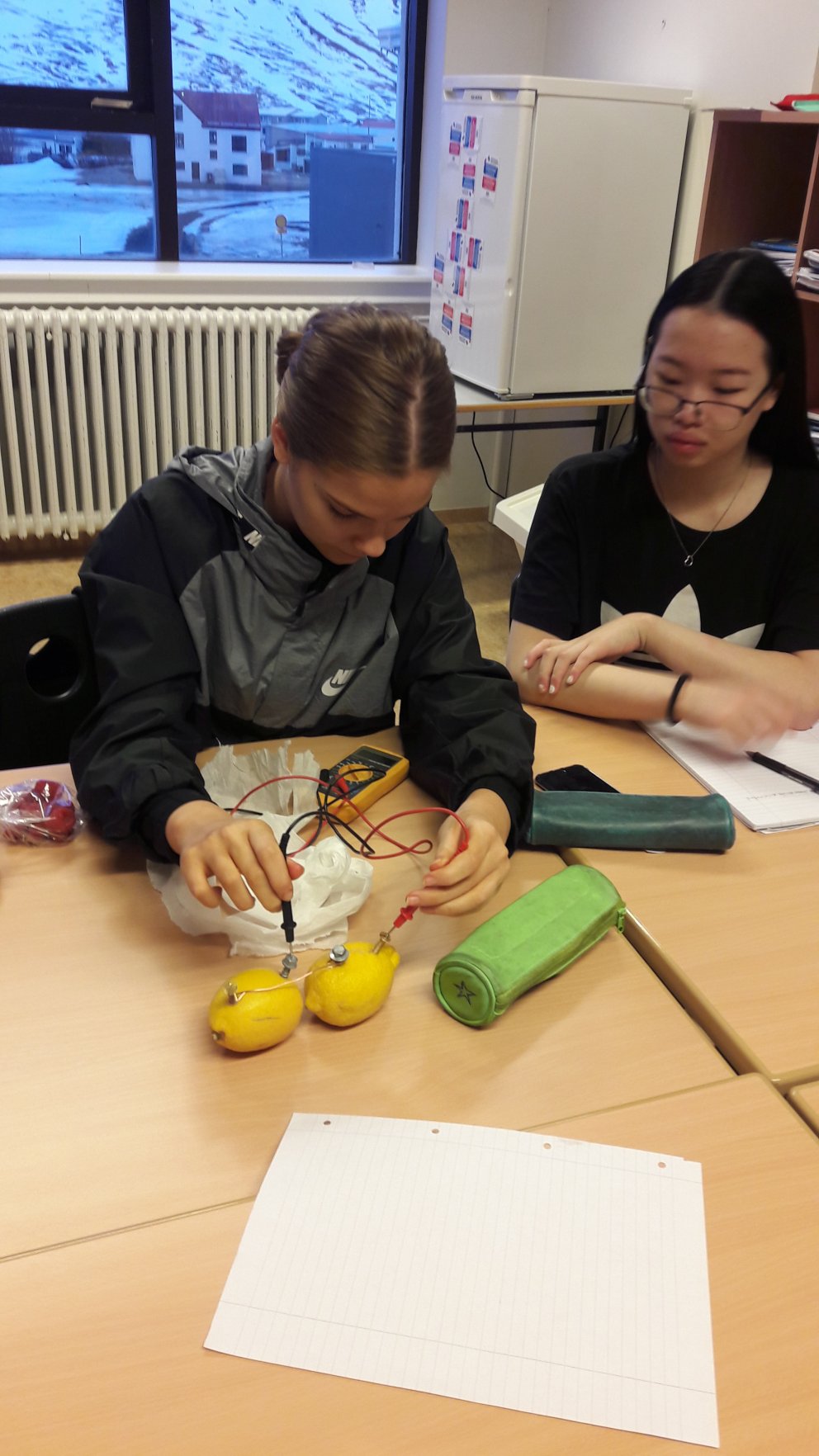 Náttúrufræði í 10. bekk