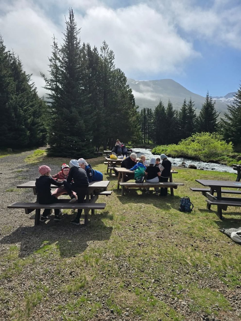 Útikennsla í skógræktinni