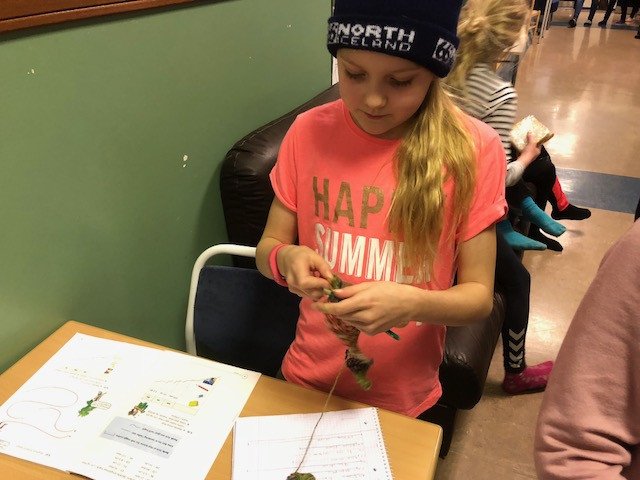 Stærðfræði og prjónaskapur