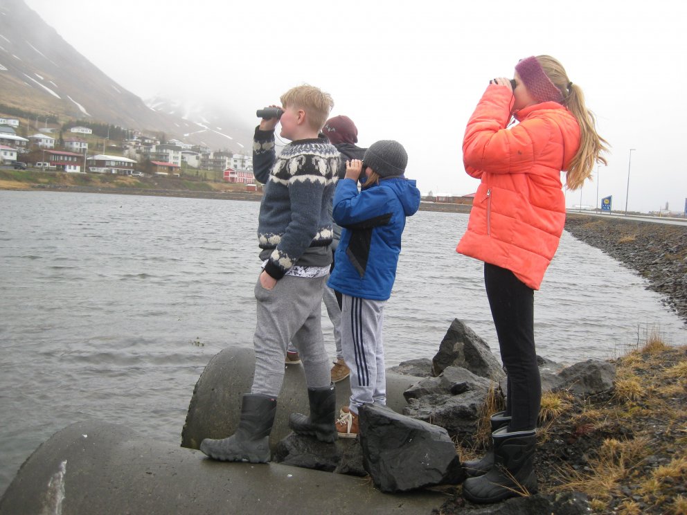 Fuglaskoðun í 5. bekk