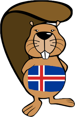 Grunnskóli Fjallabyggðar tók þátt í alþjóðlegri áskorun