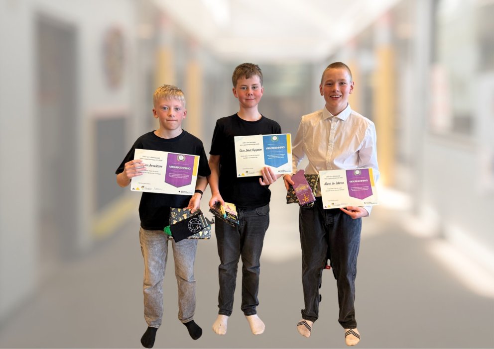 Óli Björn aðalmaður, Óliver Jökull varamaður og Marínó Örn  aðalmaður