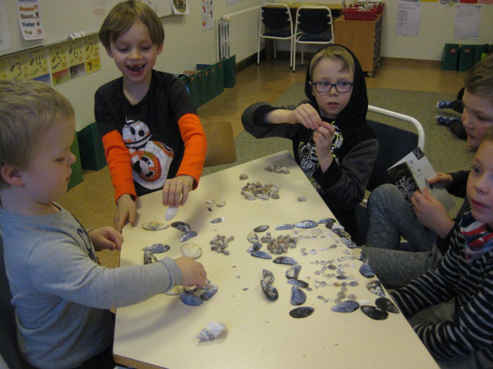 Náttúrufræði í 2. bekk