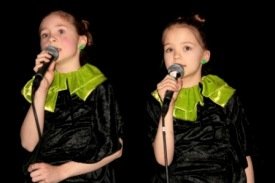 Söng- og hæfileikakeppnin