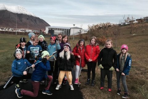 5. bekkur gróðursetur trjáplöntur