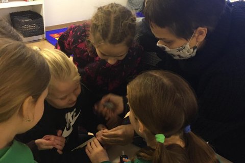 Alþjóðadagur sykursjúkra