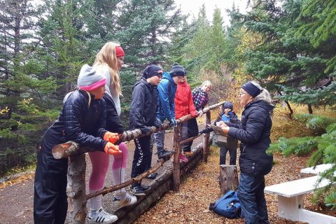 Kennsla í skógræktinni