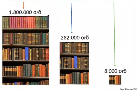 Hver vegna er mikilvægt að lesa daglega?