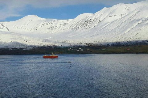 Sólbergið skoðað í Ólafsfirði