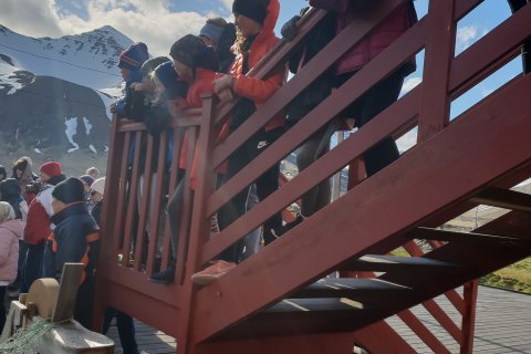 4. bekkur á síldarplani