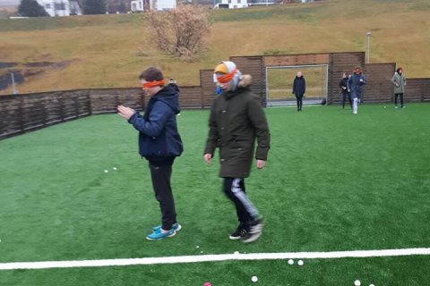 Kennarar úr Rödebyskola í Karlskrona, Svíþjóð heimsækja Grunnskóla Fjallabyggðar