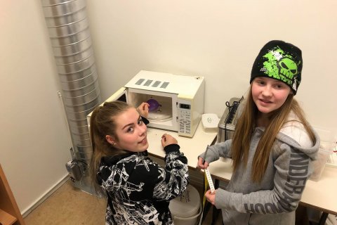 Tilraunir í 7. bekk