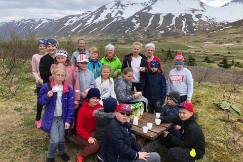 5. bekkur gróðursetur trjálöntur