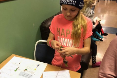 Stærðfræði og prjónaskapur