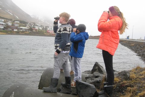 Fuglaskoðun í 5. bekk