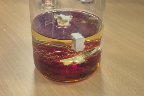 5. bekkur - vísindasýning