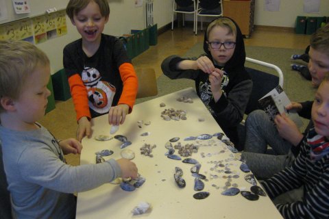 Náttúrufræði í 2. bekk